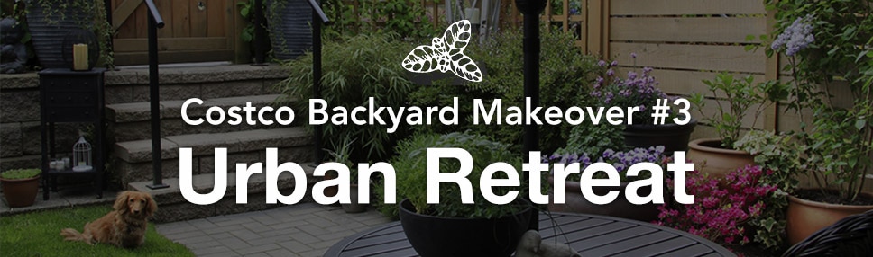 Costco Backyard Makeover #3. Urban Retreat.